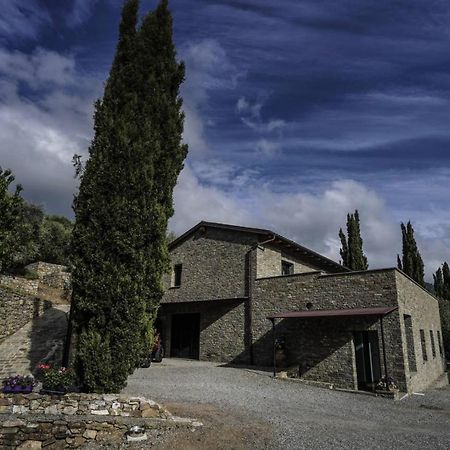 B&B Il Pianolo Perinaldo Bagian luar foto