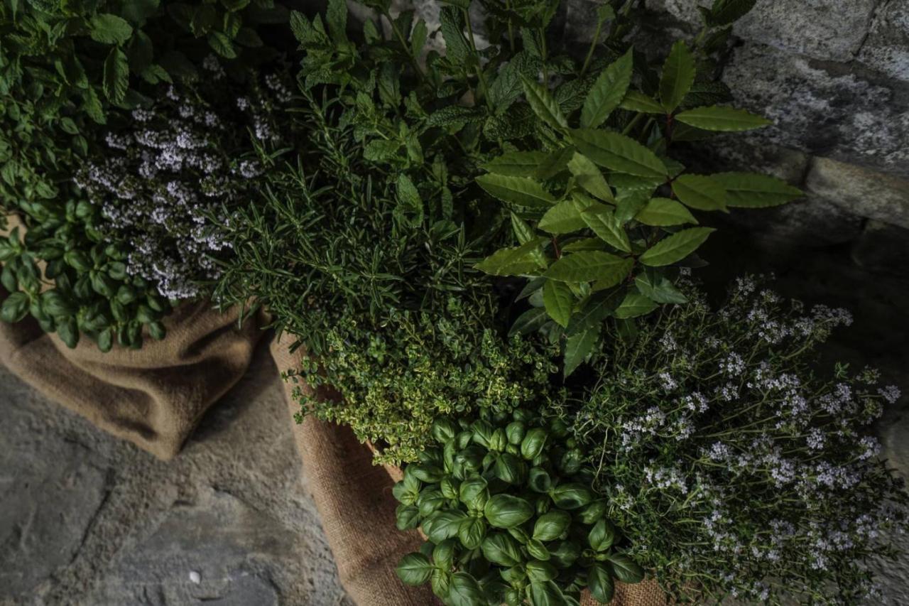 B&B Il Pianolo Perinaldo Bagian luar foto