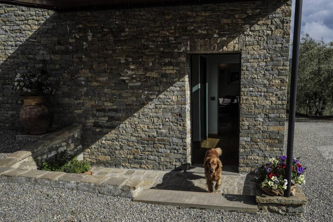 B&B Il Pianolo Perinaldo Bagian luar foto